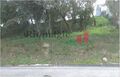 -210589108_ID48836f01-0000-0500-0000-0000141298fa.jpg