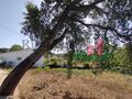 -210626734_IDb1547001-0000-0500-0000-000011ce5027.jpg