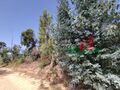 -210634507_ID51787001-0000-0500-0000-000011d27037.jpg