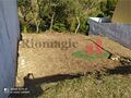 -210877352_ID7ab97501-0000-0500-0000-0000125240ee.jpg