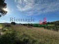 -211662978_ID937d8501-0000-0500-0000-0000141eb1ab.jpg