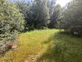 -706187466_1i5k72b2kmplaea0.jpg
