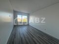 -213374640_IDaeaea101-0000-0500-0000-0000160ab793.jpg