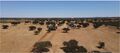 -213369808_IDf594a101-0000-0500-0000-00001608882c.jpg