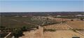 -213369808_IDf594a101-0000-0500-0000-000016088830.jpg