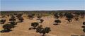 -213369808_IDf594a101-0000-0500-0000-000016088831.jpg