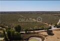 -213369808_IDf594a101-0000-0500-0000-000016088833.jpg