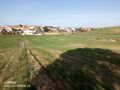 -211526123_IDf9b38201-0000-0500-0000-000013d39f92.jpg