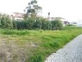 -195030293_IDe21b5700-0000-0500-0000-000015016d20.jpg