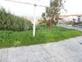 -195030293_IDe21b5700-0000-0500-0000-000015016d34.jpg