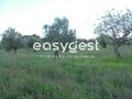 -199378358_ID8355ab00-0000-0500-0000-0000118080f6.JPG