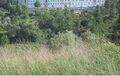 -199632281_ID1cb1af00-0000-0500-0000-000015847ef4.JPG
