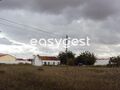 -209004212_IDe1ab4b01-0000-0500-0000-0000101f8d97.JPG