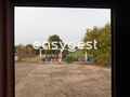 -209423171_ID73a05501-0000-0500-0000-00001195309e.JPG