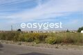 -209632721_IDe7105a01-0000-0500-0000-000010147fc6.JPG