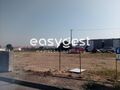 -209632721_IDe7105a01-0000-0500-0000-000010147fe1.jpg