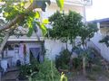 -209661291_ID25bb5a01-0000-0500-0000-000013262fbe.jpg