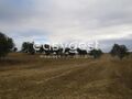 -209895619_IDff0f6001-0000-0500-0000-00001051c663.JPG