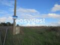 -209954954_ID8be46101-0000-0500-0000-0000107caf1d.JPG