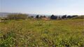 -212969843_IDf64a9901-0000-0500-0000-00001562baf2.jpg