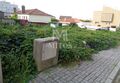 -196585366_ID18417100-0000-0500-0000-000003a517fd.jpg