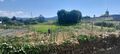 -8026708932_prod_748308_slide.jpeg