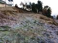 -8071983601_prod_2254782_slide.jpg