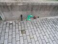 -8072992591_prod_2287928_slide.jpg