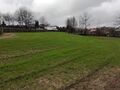 -8081402729_prod_2267321_slide.jpg