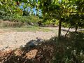 -8093912603_prod_2303601_slide.jpeg