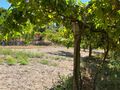 -8093912603_prod_2303605_slide.jpeg
