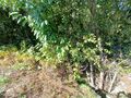 -8095935574_prod_2309962_slide.jpeg
