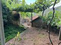 -8096890390_prod_2312888_slide.jpeg