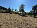 -8097250259_prod_2314041_slide.jpeg