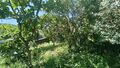 -8107695677_prod_255148_slide.jpeg