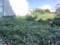 -8135520131_prod_695256_slide.jpg