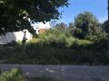 -8135520131_prod_695261_slide.jpg