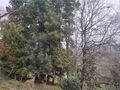 -212566679_ID3faf8d01-0000-0500-0000-000014974a62.jpg