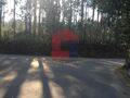 Terreno com 4500m2 Cabanelas Vila Verde - bons acessos