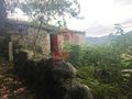 Moradia V1 Valdreu Vila Verde para venda