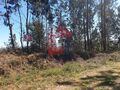 Terreno com 6595m2 Cabanelas Vila Verde - bons acessos