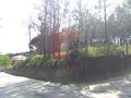 Terreno com 8400m2 Barros Vila Verde para comprar - bons acessos