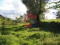 À venda Terreno Agrícola com 2450m2 Vila Verde - bons acessos