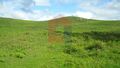 Terreno com 22985m2 Godinhaços Vila Verde para venda
