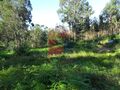 Terreno com 11000m2 Oleiros Vila Verde para vender