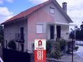 Quinta V3 com moradia Rio Mau Vila Verde à venda - árvores de fruto