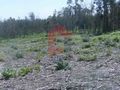 Venda de Terreno com 2724m2 Dossãos Vila Verde