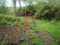 Venda Terreno Agrícola plano Vila Verde Valdreu