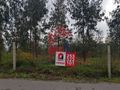 Terreno com 8500m2 para venda Marrancos Vila Verde - bons acessos