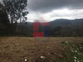-290749898_29a5cef4-95a7-417b-be13-9cfaadc378fc.jpg